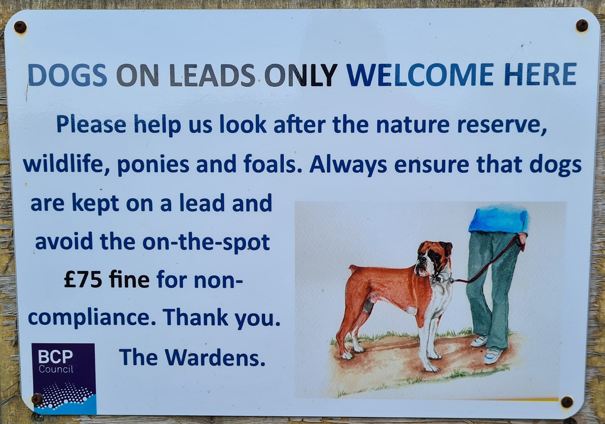 Dogs on leads are welcome on Stanpit Marsh