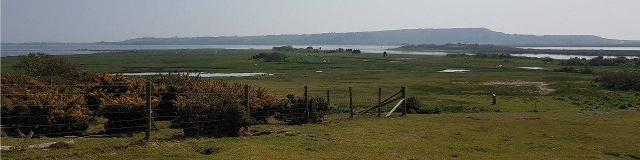 Panoramic view of Stanpit Marsh
