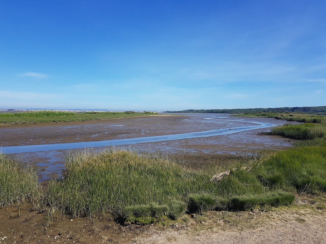 Mother Siller's Channel at Low Tide