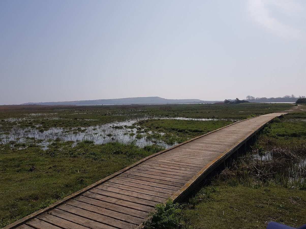 One of the raised walkways around the Central Marsh
